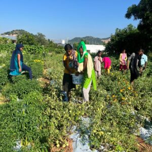 children-in-vegetable-garden-02