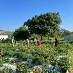 children-in-vegetable-garden-04