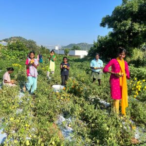 children-in-vegetable-garden-05